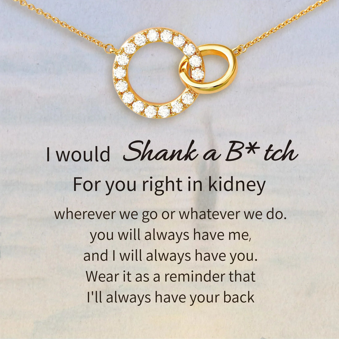 Shank A Bitch Friendship Necklace